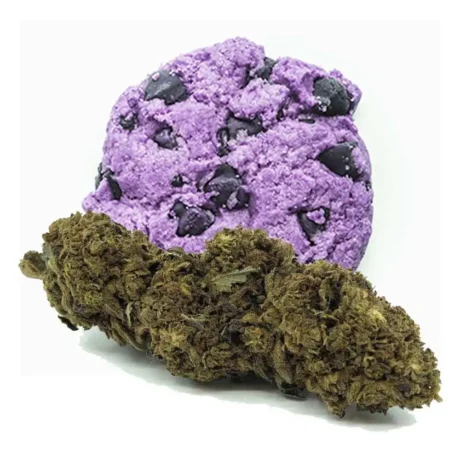 purple cookies fleur de CBD cannavirtus